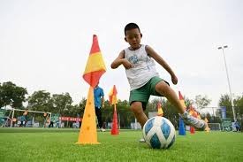 印度泰米尔纳德邦禁止在线博彩